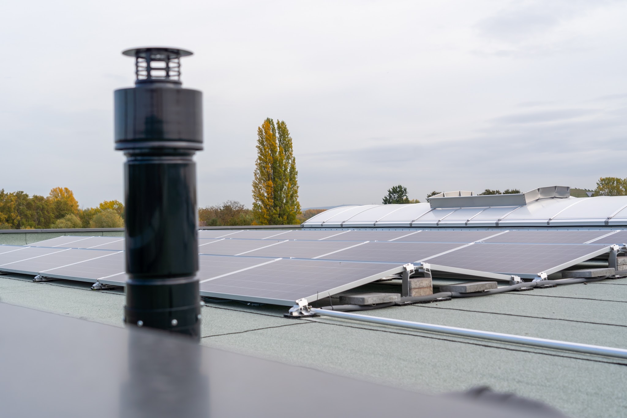 BV in Speyer – Dach – 2020