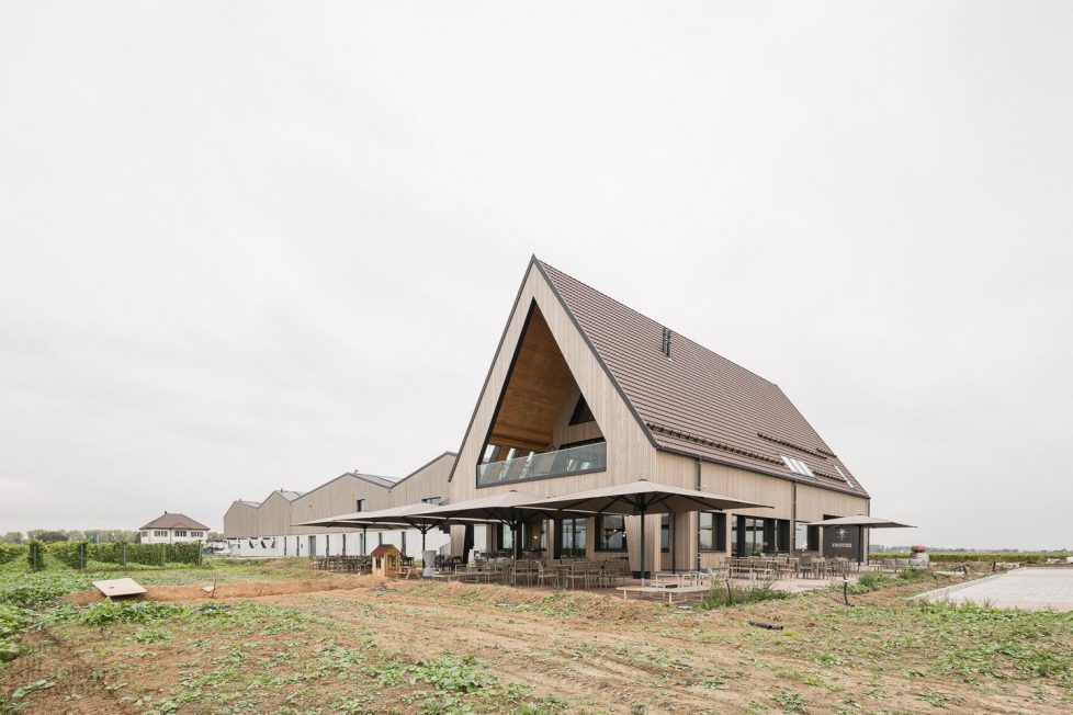 BV in Kleinfischlingen – Weingut Ellermann-Spiegel – 2024/2025